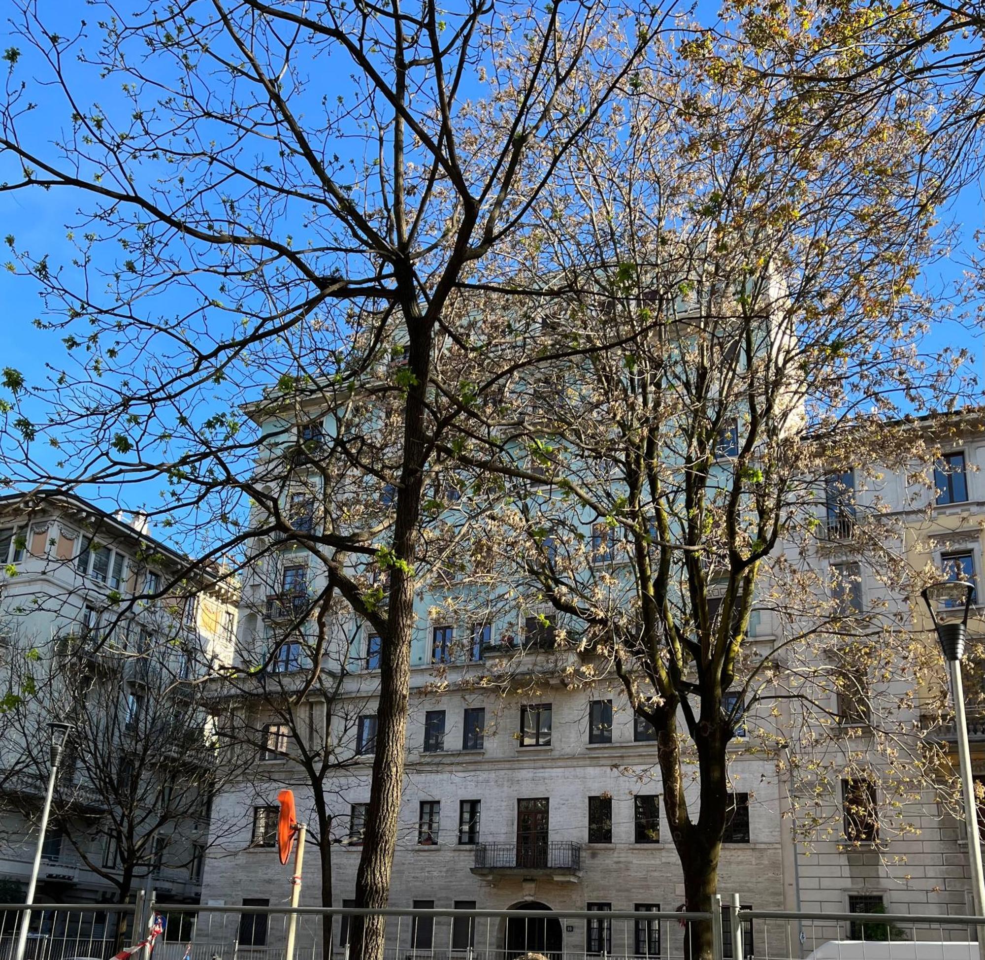 La Suite Apartment Mailand Exterior foto